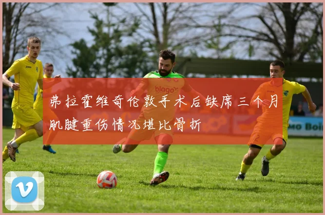 弗拉霍维奇伦敦手术后缺席三个月肌腱重伤情况堪比骨折