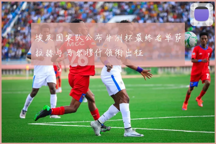 埃及国家队公布非洲杯最终名单萨拉赫与马尔穆什领衔出征