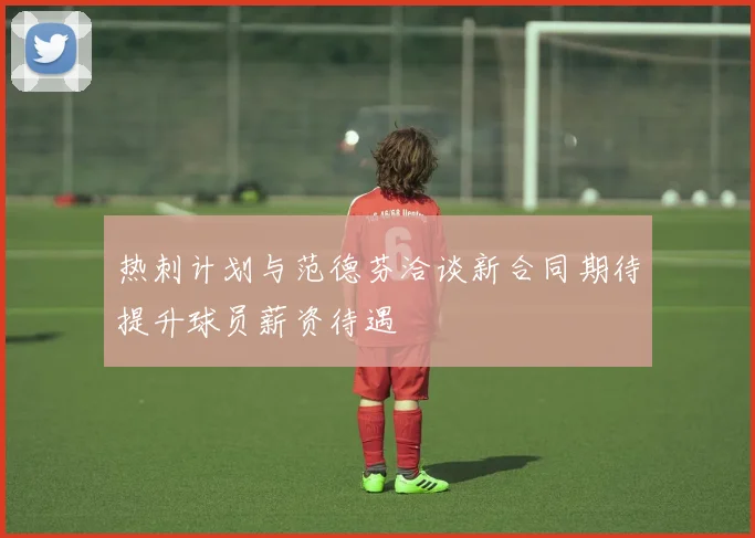 热刺计划与范德芬洽谈新合同期待提升球员薪资待遇