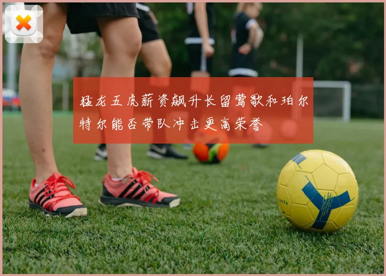 猛龙五虎薪资飙升长留莺歌和珀尔特尔能否带队冲击更高荣誉