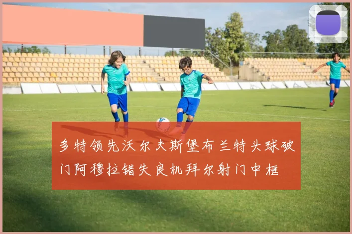多特领先沃尔夫斯堡布兰特头球破门阿穆拉错失良机拜尔射门中框